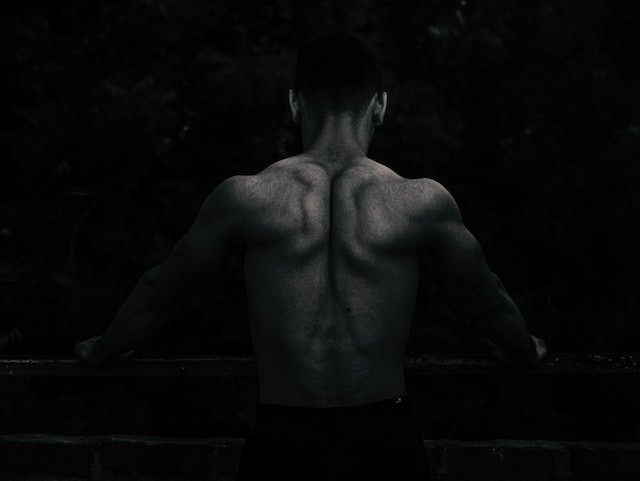 How To Stay Lean All Year Around?